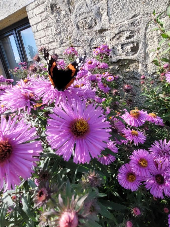Studio Bienvenue Du Cote De Chez Nous Avec Jardin Privatif Wignehies Dış mekan fotoğraf