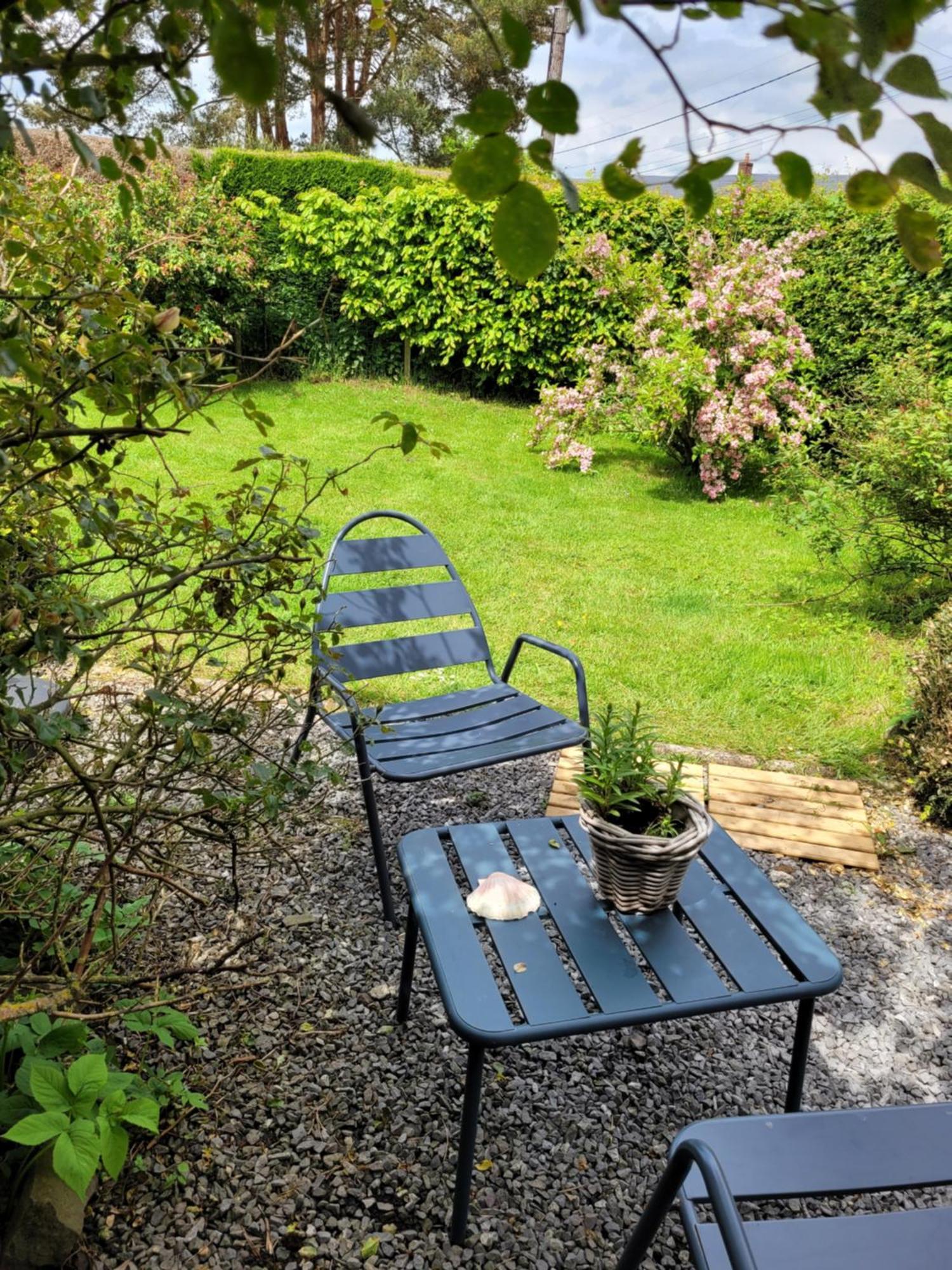 Studio Bienvenue Du Cote De Chez Nous Avec Jardin Privatif Wignehies Dış mekan fotoğraf